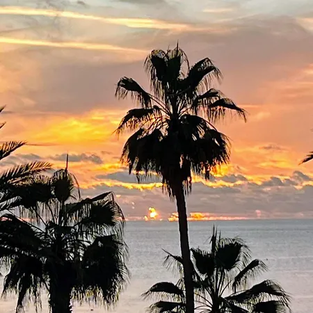 Americas - Garden Costa Adeje (Tenerife)