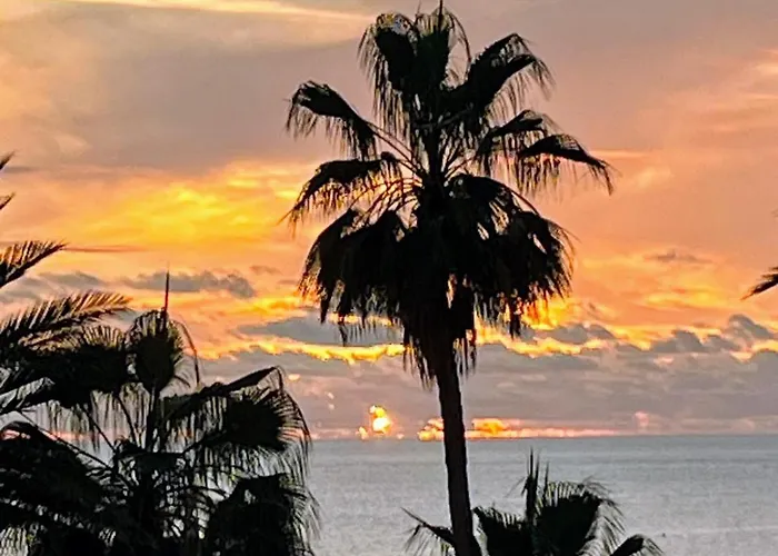 Americas - Garden Costa Adeje (Tenerife)