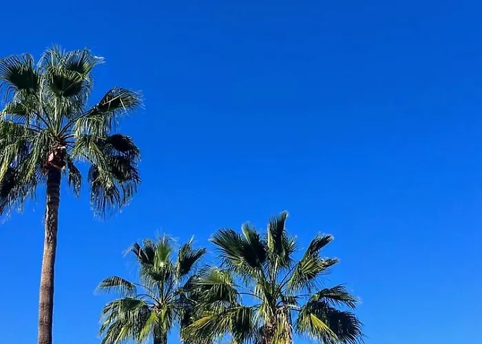 Americas - Garden Appartamento Costa Adeje (Tenerife)